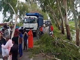 कोटा दौसा मेगा स्टेट हाइवे पर गिरा पेड़, दो घंटे रहा यातायात बाधित-video