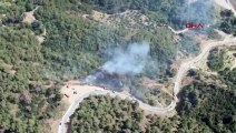 İzmir Kemalpaşa'da Orman Yangını Çıktı