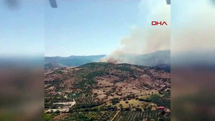 Menemen'de Ormanda Yangın Çıktı