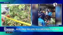 Mujer queda herida tras caerle la rama de un árbol en el Cercado de Lima