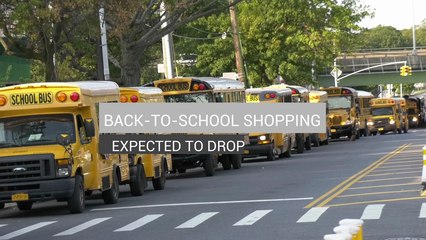 Back To School Spending Down