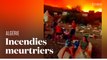 Incendies en Algérie : au moins 34 personnes tuées