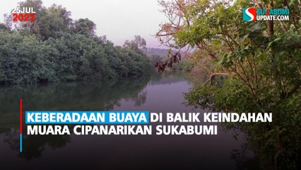 Keberadaan Buaya di Balik Keindahan Muara Cipanarikan Sukabumi