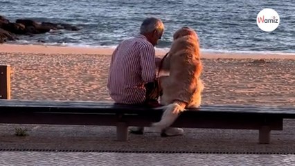 Beach-goer starts crying when she sees what elderly man is doing with his dog