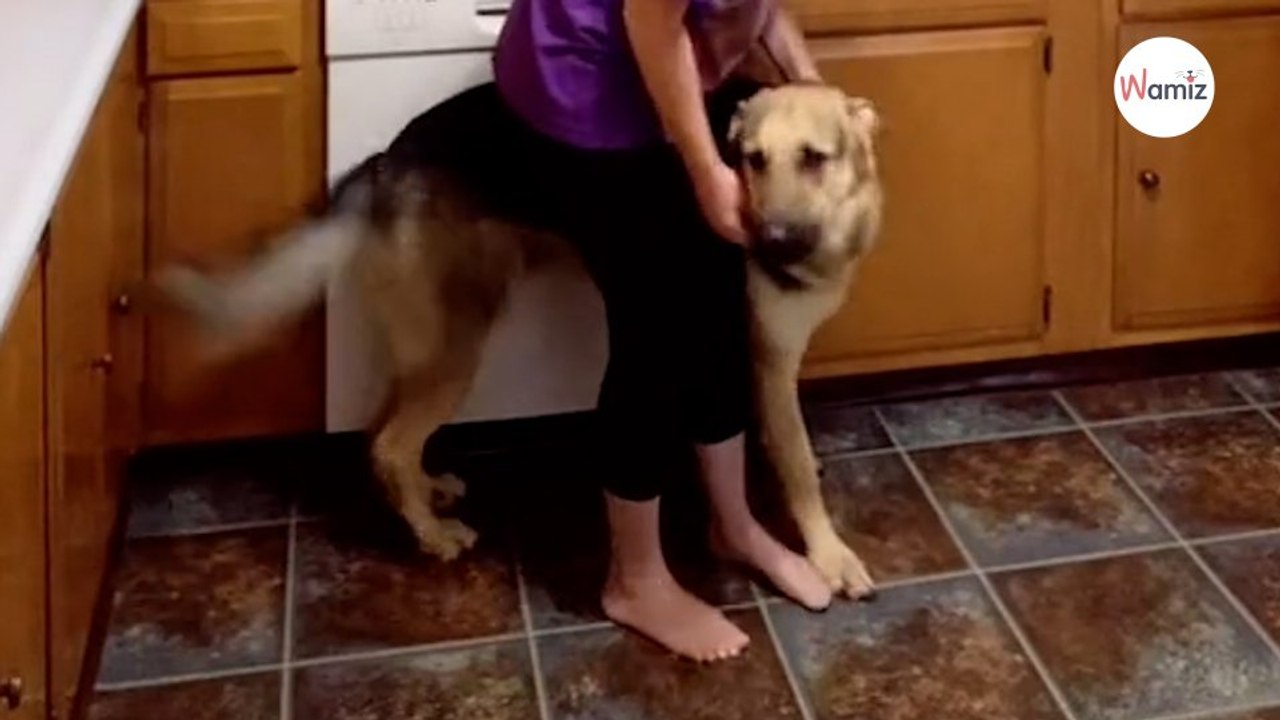 Watch Dog hailed a lifesaver after detecting owner's seizure before it happens