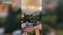 Antakya'daki orman yangını yerleşim yerlerini tehdit ediyor