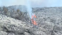 مراسل #العربية: الرياح تعقد جهود اليونان لإطفاء حرائق الغابات في جزيرة روديس ومخاوف من اشتعال النيران مجددا بالحرائق التي تم إخمادها