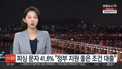 피싱 문자 41.6% "정부 지원 좋은 조건 대출"