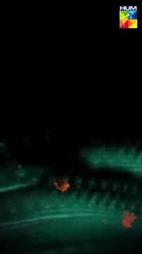 First Look Of 'Ishq Murshid' ft Bilal Abbas Khan & Durefishan Saleem. #ishqmurshid #durefishan