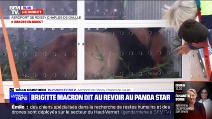 Le panda Yuan Meng se prépare à quitter la France en avion, sa marraine Brigitte Macron est présente pour son départ