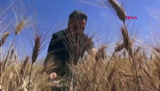 La municipalité d'Elbistan distribue du pain gratuit après le tremblement de terre