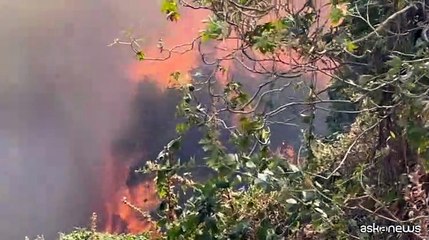 Mediterraneo in fiamme: roghi in Sicilia, Tunisia e Grecia