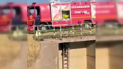 Le chien coincé dans les remparts et l'âne tombé dans le canal d'irrigation ont été secourus à Diyarbakır.