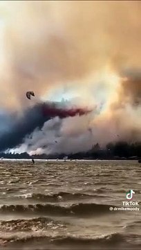Ils se fichaient des fumées, ni des avions qui passaient au-dessus d'eux ! L'image prise pendant les pompiers m'a fait abandonner