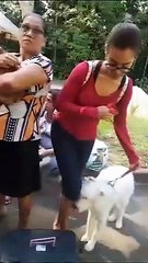 Baixo número de senhas para castração de animais revolta população em Salvador