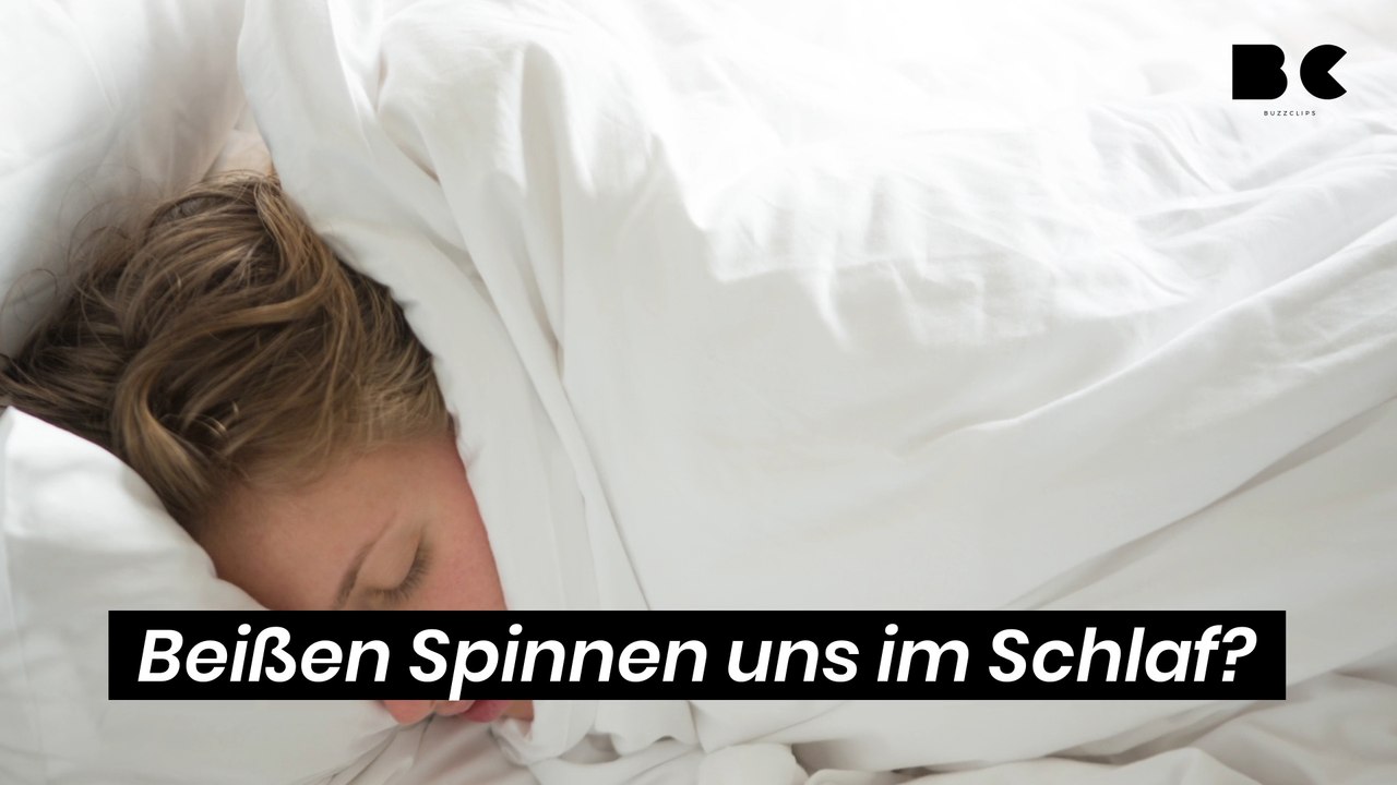 Beißen Spinnen uns im Schlaf?
