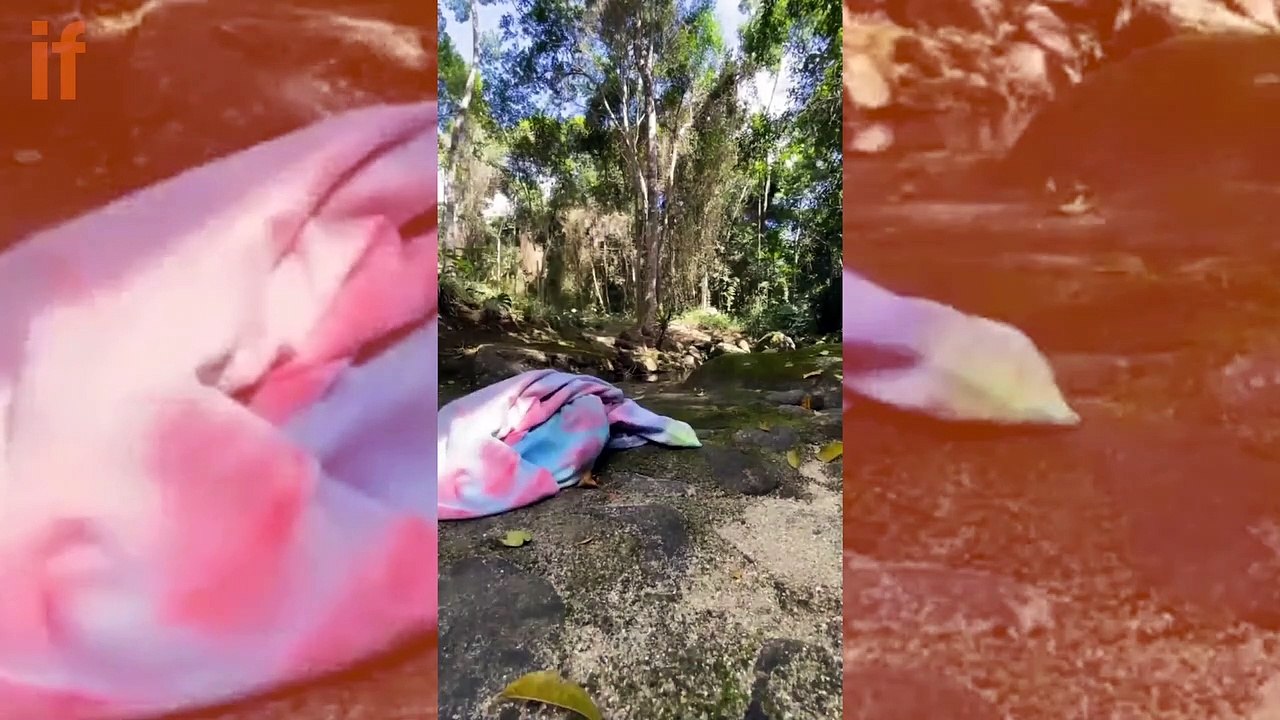 Leticia Spiller compartilha vídeo curtindo a natureza