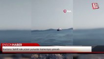 Bostancı Sahili'nde yüzen yunuslar kameraya yansıdı