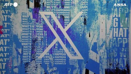 Scatta l'ora X, Musk lancia il nuovo logo di Twitter