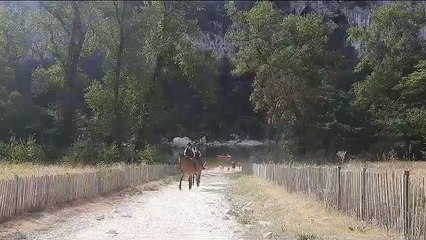 Les gendarmes à cheval en patrouille au Pont d'Arc