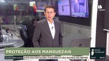 PROTEÇÃO AOS MANGUEZAIS