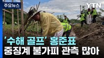 '수해 골프' 홍준표 징계 이르면 오늘 결론 / YTN