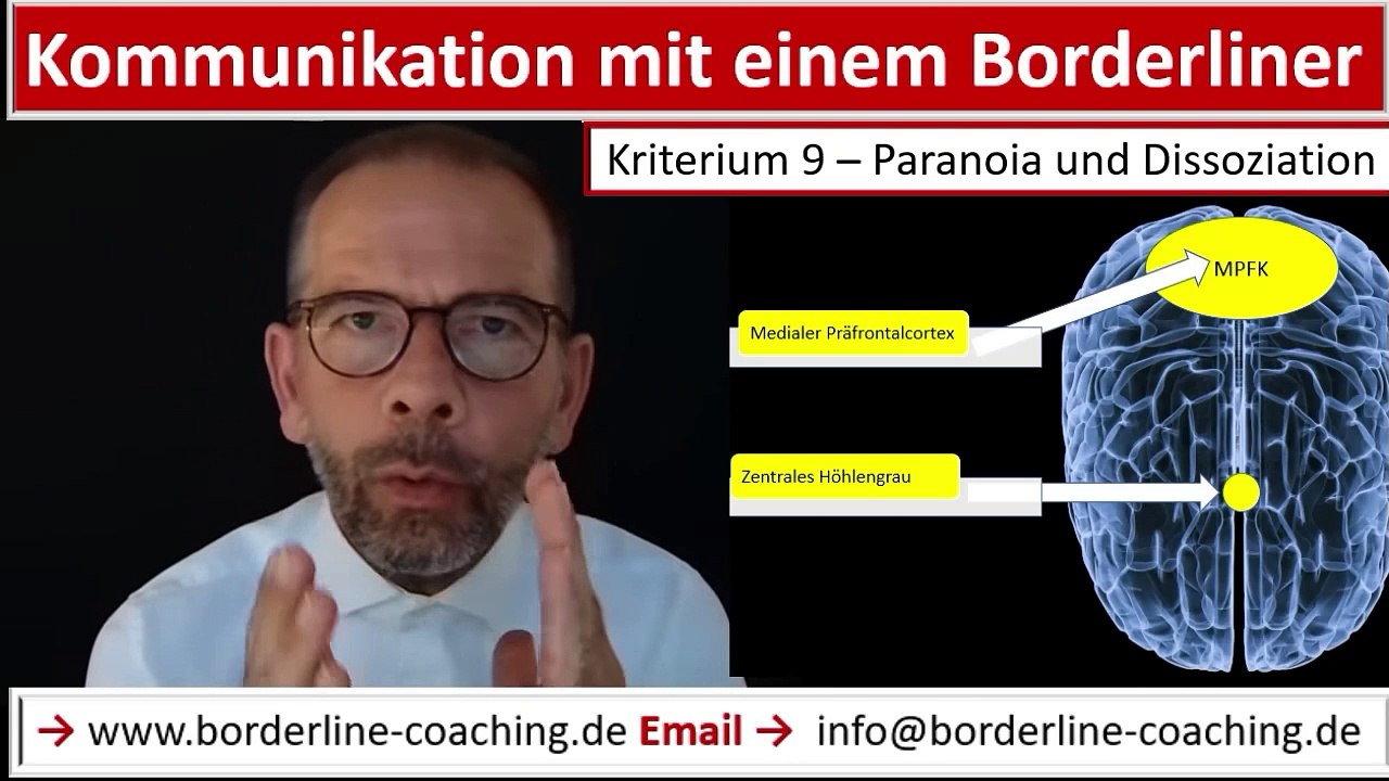 Paranoia und dissoziation - kriterium 9 - kommunikation mit einem borderliner