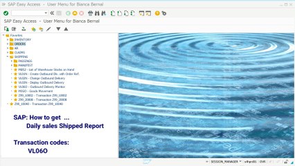 SD Daily Sales Shipped Report