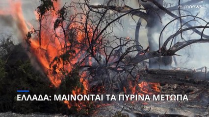 Πτώση canadair στην Κάρυστο - Νεκροί οι δύο Έλληνες πιλότοι - Τριήμερο πένθος στις Ενοπλες Δυνάμεις