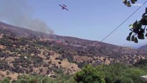 53 δασικές πυρκαγιές στην Ελλάδα το τελευταίο 24ωρο - Σε Ρόδο και Κέρκυρα τα πιο ανησυχητικά μέτωπα