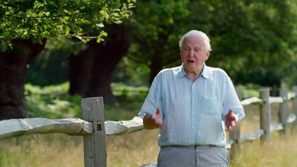 The Green Planet: How Humans Are Saving Endangered Plants 🌱