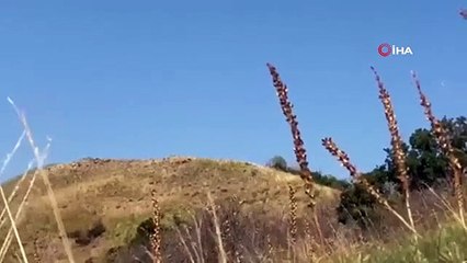 Un engin piégé pesant 55 kilogrammes a été détruit à Bingöl