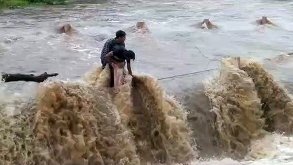 Video... देखें वीडियो  उभयेश्वर मार्ग पर मोरवानियां नदी पर फसे दो युवक