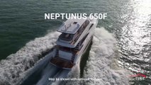 Neptunus 650F (2023) - Performance