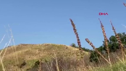 Bingöl'de 55 Kilogram El Yapımı Patlayıcı Ele Geçirildi