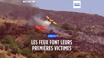 Incendies en Grèce : un avion bombardier d'eau s'est écrasé en luttant contre les flammes