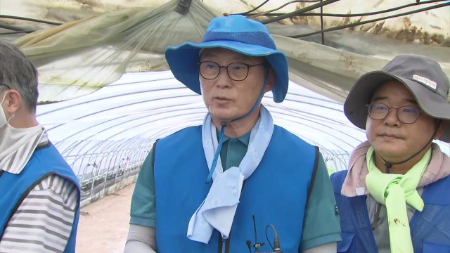 野 헌재 결정 존중...모든 책임서 자유로운 건 아냐 / YTN