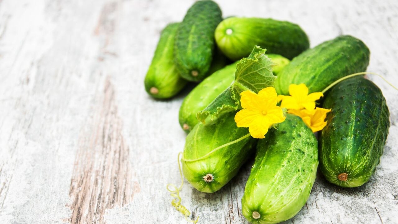 8 Must-Know Tips for Pruning Cucumber Plants to Boost Your Harvest