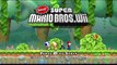 Newer Super Mario Bros. Wii online multiplayer - wii