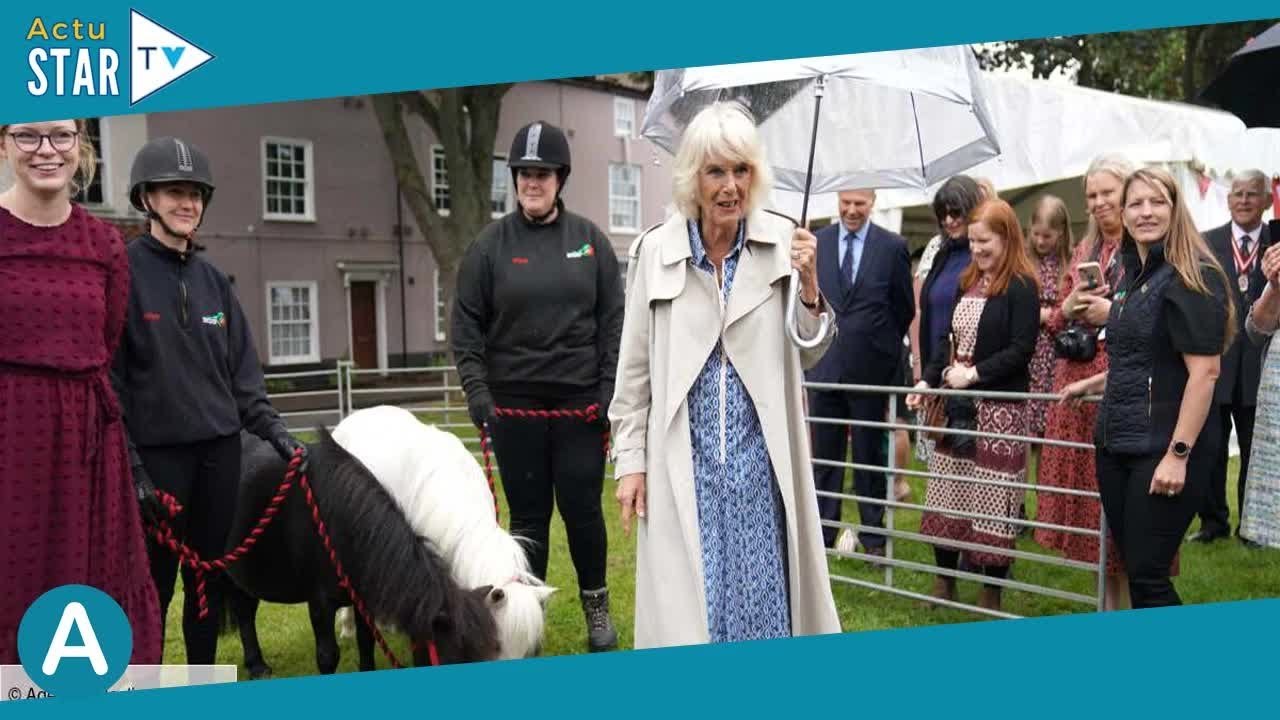 La reine Camilla sous la pluie, son après-midi avec d'adorables poneys avant ses vacances