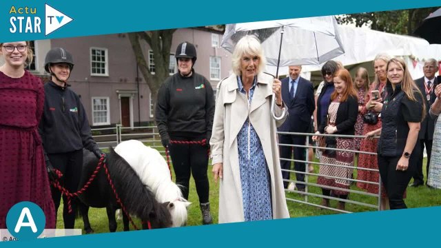 La reine Camilla sous la pluie, son après-midi avec d'adorables poneys avant ses vacances