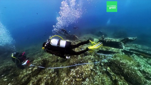 Ученые уходят на дно, чтобы описать спрятанные под водой сокровища