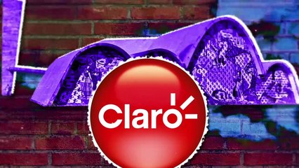 Ricardo Amado 25/07/23