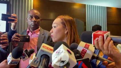 LA DEPURACIÓN DE CANDIDATOS Y LA CONSULTA DEL PRM A EE.UU. SIGUE GENERANDO OPINIONES