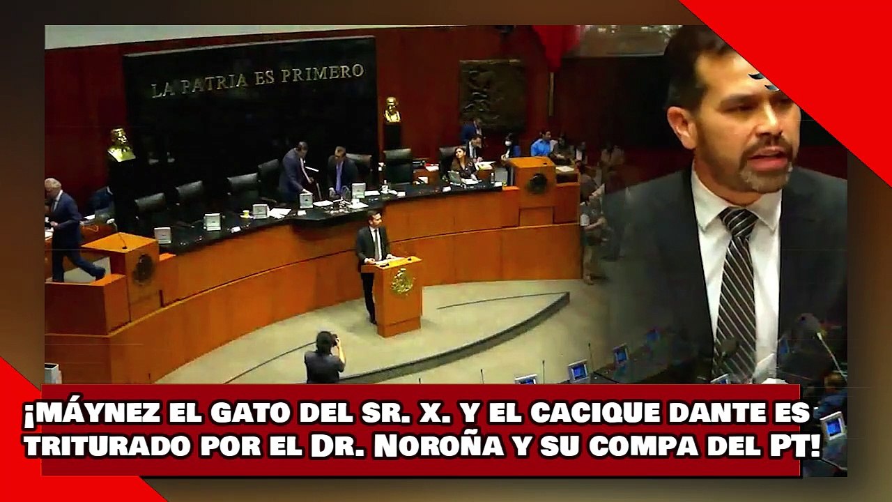 ¡VEAN! ¡Máynez el gato del Sr. X. y el cacique Dante es triturado por el Dr. Noroña y su compañero!
