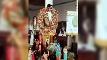 Jacu gigante invade matriz e derruba imagem de Sant'Ana às vésperas de festividades