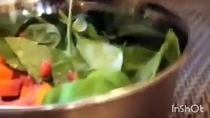 h funny cat and dog videos try not to laugh 2020