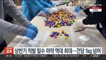 상반기 적발 밀수 마약 역대 최대…건당 1kg 넘어