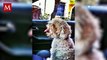 Una joven decidió dejar su trabajo de oficina para trasladar perritos por medio de uber