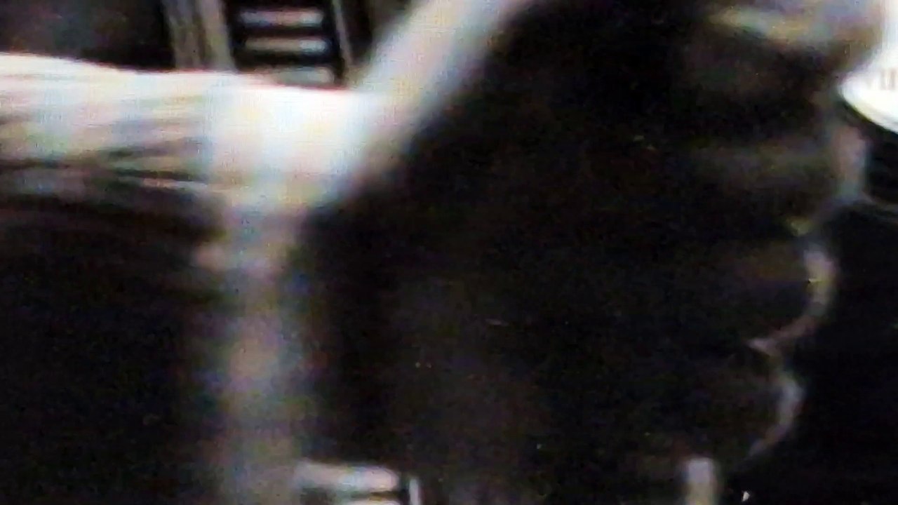 20230726_025058